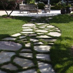 Keliuko forma 1+1 DOVANŲ 03